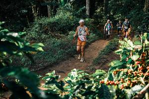 BIB: 
                            <button type="button" onclick="openModal(25844488)" class="btn btn-primary btn-sm float-right btn-popup" data-toggle="modal" data-target=".modal-high-quality">
                        <i class="fas fa-shopping-cart"></i> Add to Cart
                    </button>
                                            <button type="button" onclick="isThisMe(25844488, true)" class="btn btn-success btn-sm float-right btn-popup btn-isme hidden" data-toggle="tooltip" data-placement="bottom" title="นี่คือรูปของคุณใช่ไหม คลิกที่นี่เพื่อเอาเข้าอัลบั้ม">
                        <i class="fas fa-plus"></i> Add to album
                    </button>
                    <button type="button" onclick="isThisMe(25844488, false)" class="btn btn-warning btn-sm float-right btn-popup btn-isnotme hidden">
                        <i class="fas fa-ban"></i> Remove from album
                    </button>